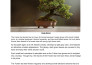 write plant gardening blog posts, indoor houseplants, and lawn care articles